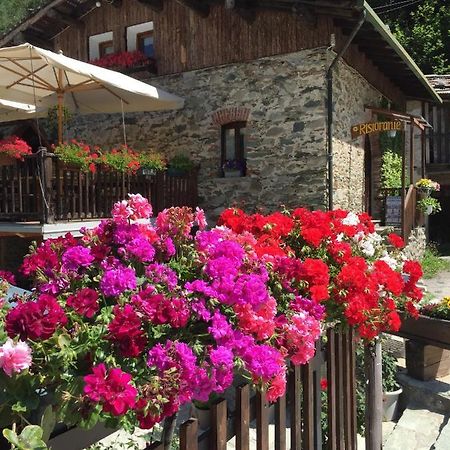 B&B Vinicola23 Limone Piemonte Zimmer foto