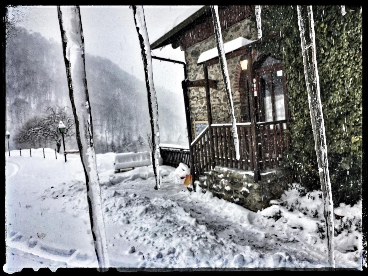 B&B Vinicola23 Limone Piemonte Exterior foto