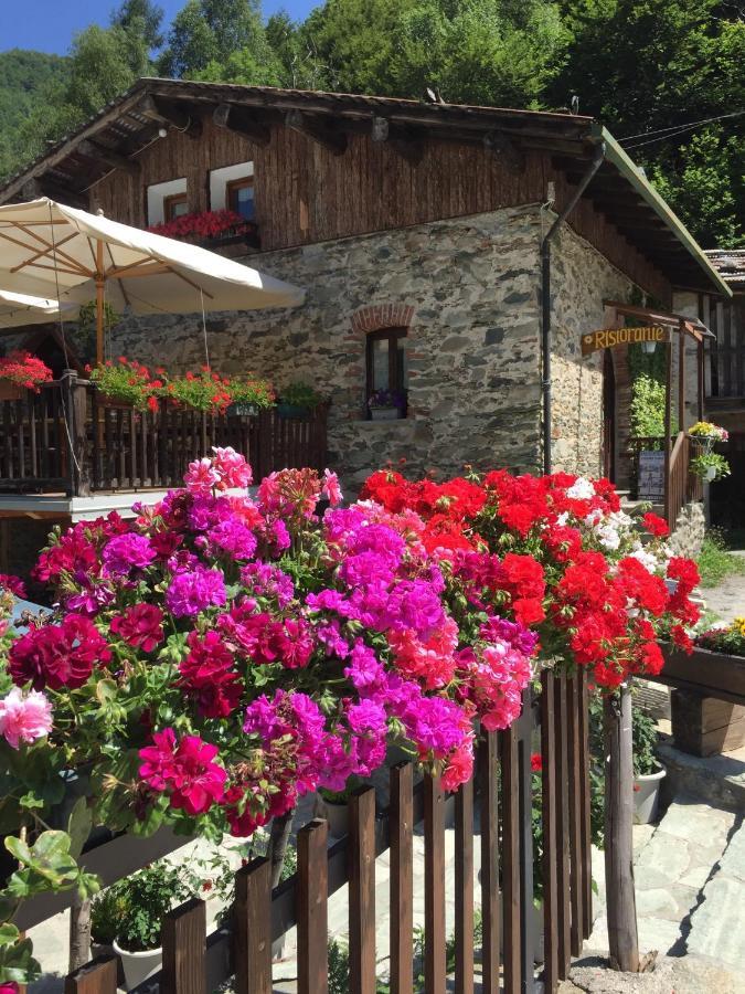 B&B Vinicola23 Limone Piemonte Zimmer foto