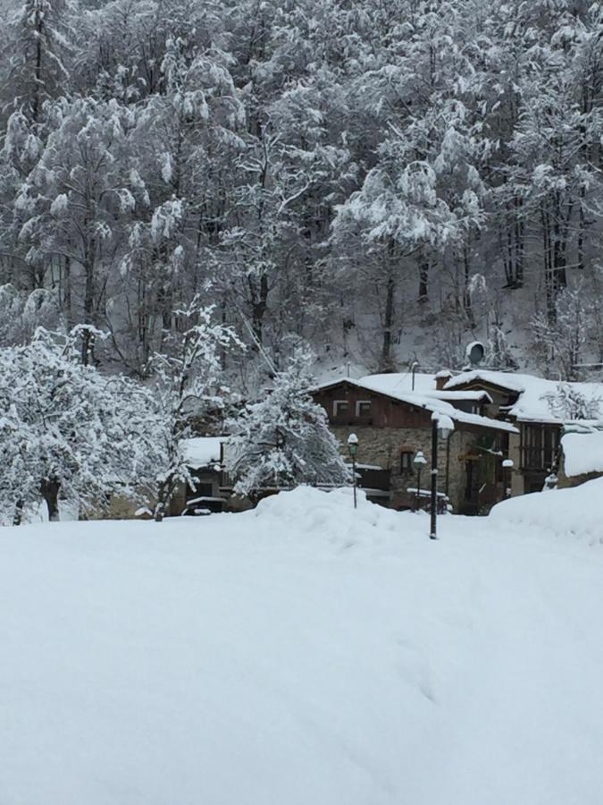 B&B Vinicola23 Limone Piemonte Zimmer foto